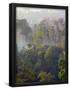 Essential Black