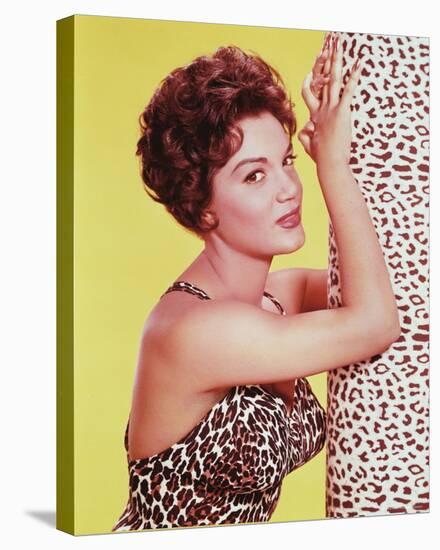 Connie Francis-null-Stretched Canvas