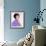 Connie Francis-null-Framed Photo displayed on a wall