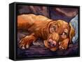 Framed Canvas