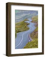 Connor pass, Dingle peninsula, County Kerry, Munster province, Ireland, Europe.  Bending road leadi-Marco Bottigelli-Framed Photographic Print