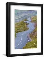 Connor pass, Dingle peninsula, County Kerry, Munster province, Ireland, Europe.  Bending road leadi-Marco Bottigelli-Framed Photographic Print