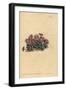 Conophytum Minutum (Tiny Fig-Marigold, Mesembryanthemum Minutum)-Sydenham Teast Edwards-Framed Giclee Print