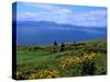 Conor Pass Ruin, Dingle Peninsula, County Kerry, Ireland-Marilyn Parver-Stretched Canvas