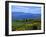 Conor Pass Ruin, Dingle Peninsula, County Kerry, Ireland-Marilyn Parver-Framed Photographic Print