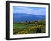 Conor Pass Ruin, Dingle Peninsula, County Kerry, Ireland-Marilyn Parver-Framed Photographic Print