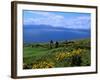 Conor Pass Ruin, Dingle Peninsula, County Kerry, Ireland-Marilyn Parver-Framed Photographic Print