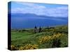 Conor Pass Ruin, Dingle Peninsula, County Kerry, Ireland-Marilyn Parver-Stretched Canvas