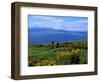 Conor Pass Ruin, Dingle Peninsula, County Kerry, Ireland-Marilyn Parver-Framed Photographic Print