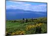 Conor Pass Ruin, Dingle Peninsula, County Kerry, Ireland-Marilyn Parver-Mounted Photographic Print