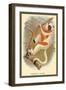 Conquerel's Siafka-Sir William Jardine-Framed Art Print