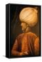 Conqueror of Three Continents, Suleiman I Shook the World of the 16Th Century as H..., 1980S (Photo-James L Stanfield-Framed Stretched Canvas