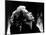 Conquest, Greta Garbo, 1937-null-Mounted Photo