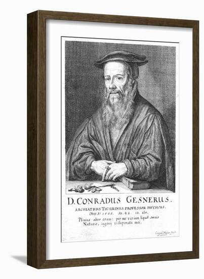 Conrad Gesner, 16th Century Swiss Physician and Naturalist, 1662-Conrad Meyer-Framed Giclee Print