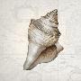 Just the Print
