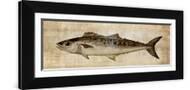 Brown Frame