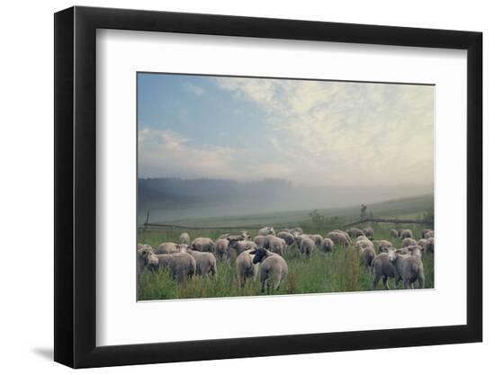 Premium Photographic Print, , large