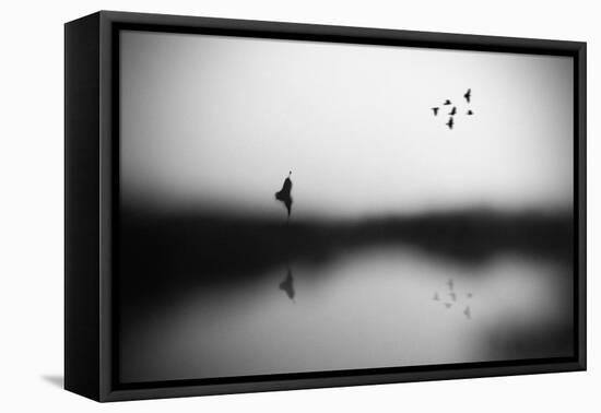 Conscience-Hengki Lee-Framed Stretched Canvas