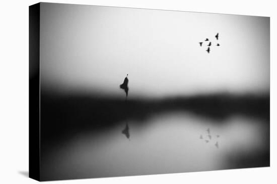 Conscience-Hengki Lee-Stretched Canvas