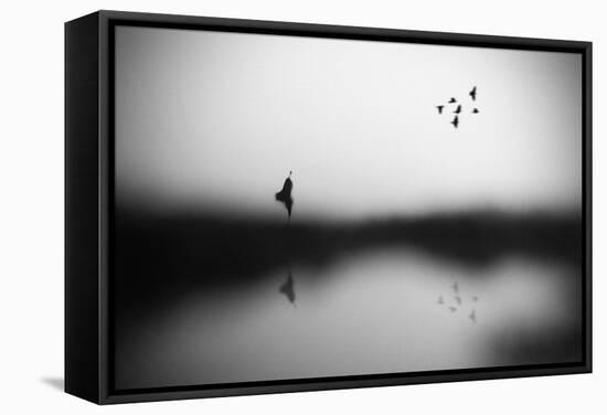 Conscience-Hengki Lee-Framed Stretched Canvas