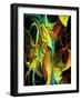 Conscious Decisions-Ruth Palmer-Framed Art Print