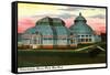 Conservatory, Bronx Park-null-Framed Stretched Canvas