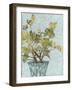 Conservatory Collage I-Megan Meagher-Framed Art Print