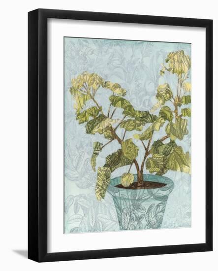 Conservatory Collage II-Megan Meagher-Framed Art Print