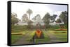 Conservatory, Golden Gate Park, San Francisco, California-Anna Miller-Framed Stretched Canvas