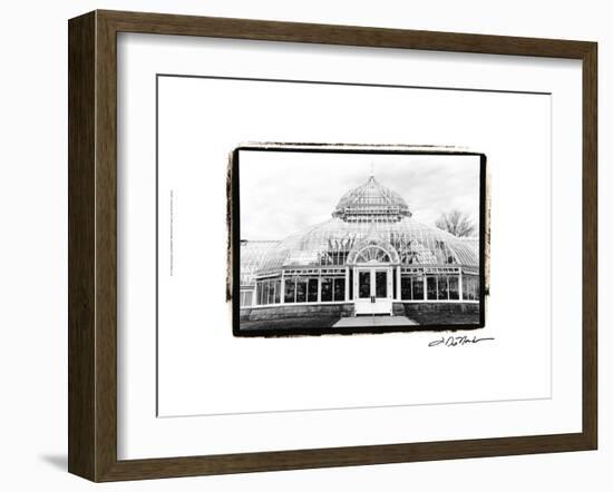 Conservatory III-Laura Denardo-Framed Art Print