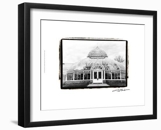 Conservatory III-Laura Denardo-Framed Art Print