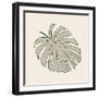 Conservatory Plant 1-Sweet Melody Designs-Framed Art Print