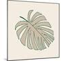 Conservatory Plant 1-Sweet Melody Designs-Mounted Art Print