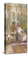 Conservatory - Serene-Longo-Stretched Canvas