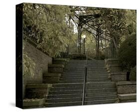 Conservatory Stairs-Richard James-Stretched Canvas