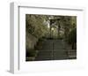 Conservatory Stairs-Richard James-Framed Art Print