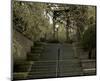 Conservatory Stairs-Richard James-Mounted Art Print