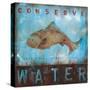 Conserve Water-Wani Pasion-Stretched Canvas