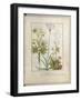 Consiligo, Burreed and Strawberry, The Book of Simple Medicines, Platearius-Robinet Testard-Framed Giclee Print