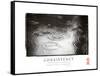 Consistency - Raindrops-Unknown Unknown-Framed Stretched Canvas