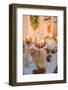 Console table, detail, autumnal decoration, candles, pumpkin, picture frame,-mauritius images-Framed Photographic Print