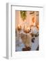 Console table, detail, autumnal decoration, candles, pumpkin, picture frame,-mauritius images-Framed Photographic Print