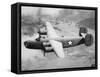 Consolidated B-24D Liberator American Bomber of Ww2-null-Framed Stretched Canvas