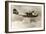 Consolidated PBY-2 Navy Patrol Bomber-null-Framed Art Print