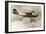 Consolidated PBY-2 Navy Patrol Bomber-null-Framed Art Print