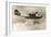 Consolidated PBY-2 Navy Patrol Bomber-null-Framed Art Print