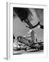 Consolidated Vultee B-24 under Construction at Consolidated Plant-Andreas Feininger-Framed Photographic Print