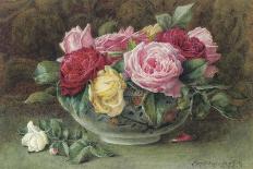Still Life with a Bowl of Pink, Yellow and Red Roses, 1883-Constance Lawson-Framed Stretched Canvas