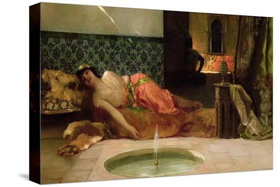 Stretched Canvas Print, , large