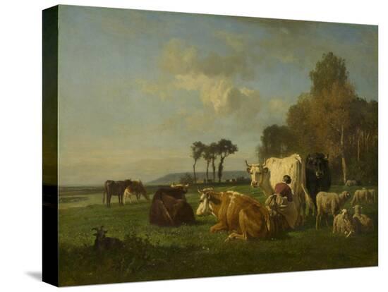 Stretched Canvas Print, , large